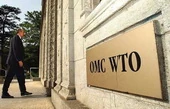 США не оказывают давления на Грузию по вопросу вступления России в ВТО