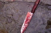 Дюжина ножей в спину Грузии